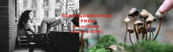 марки nbome Алзамай