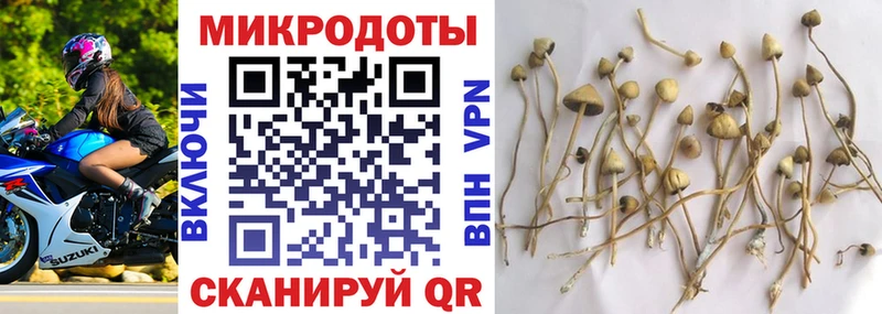 Галлюциногенные грибы ЛСД  Сельцо 